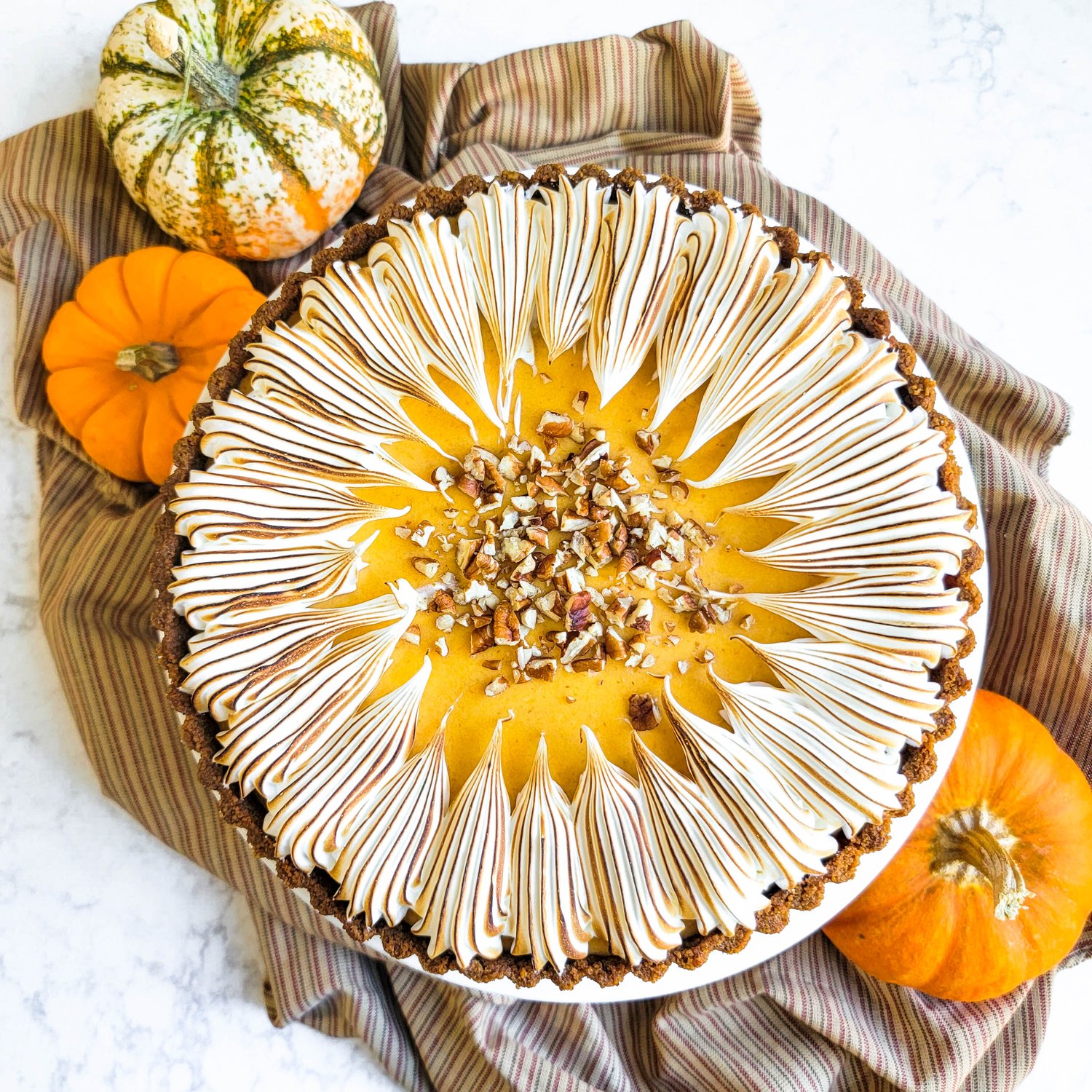 PUMPKIN MOUSSE 下敷き Pumpkin White Chocolate Mousse Tart - Tina Zaccardi Bakes